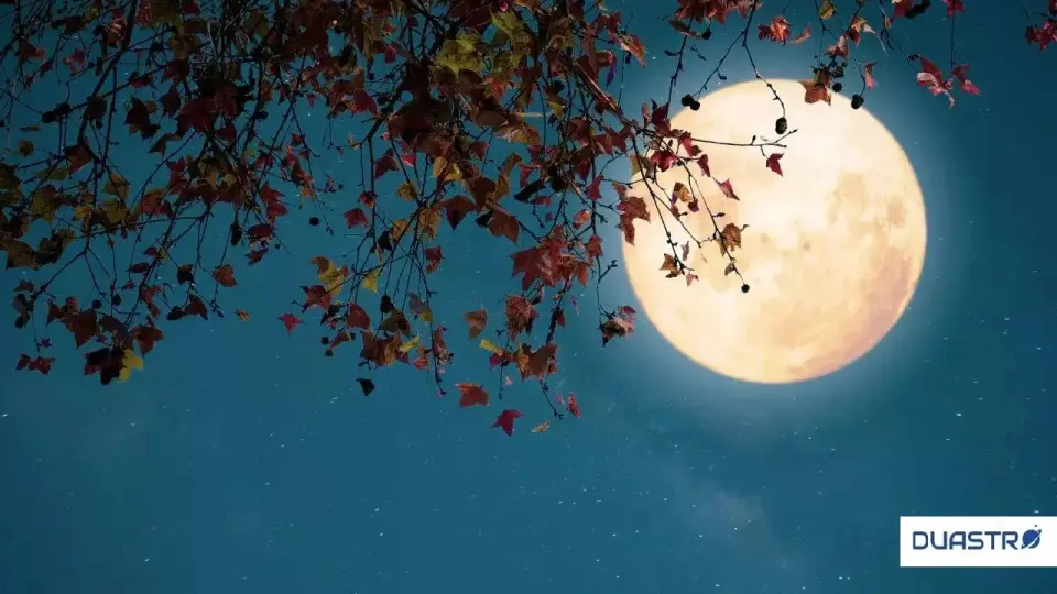 When is full moon? Poornima Vrat 2023 | Next Full Moon